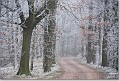 Winterse Tomperweg